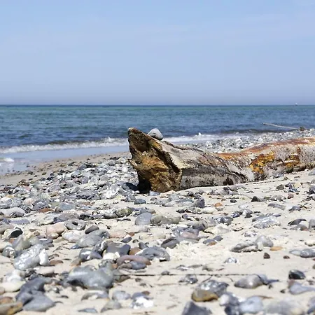 Feriendomizil شقة *