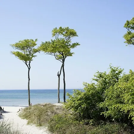 Feriendomizil شقة