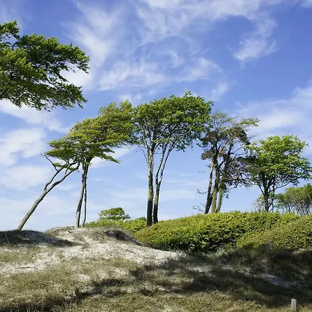 아파트 Feriendomizil