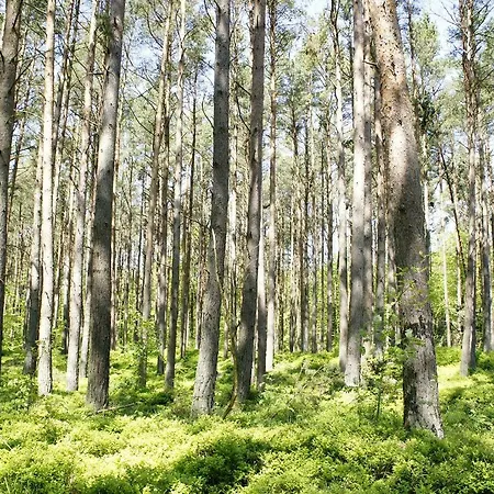 Feriendomizil 아파트 *