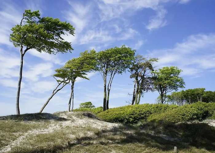 アパート Feriendomizil