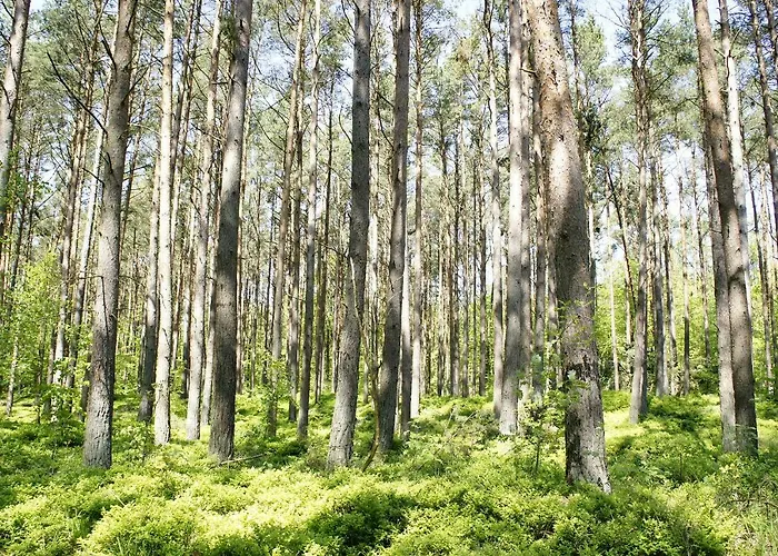 Feriendomizil アパート *